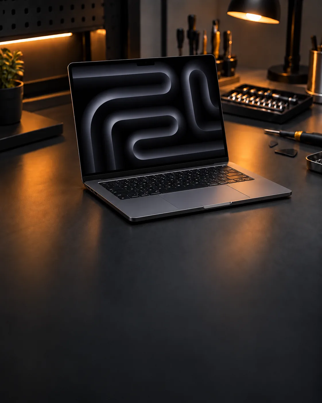 Notebook atendido pela assistência